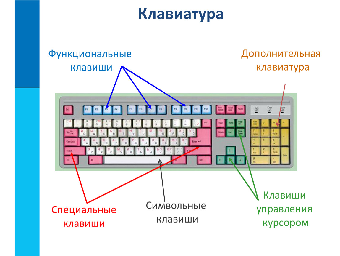 Где клавиатура открой клавиатуру. Клавиши дополнительной клавиатуры Информатика 5. Какие кнопки управления на клавиатуре компьютера. Клавиатура схема функциональные элементы. Клавиатура с расположением кнопок снизу.